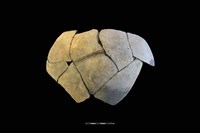 藏品(陶片)的圖片